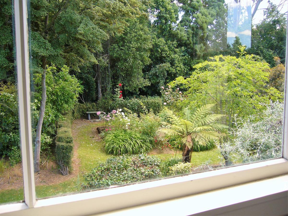 Forest Manor Geraldine Dış mekan fotoğraf
